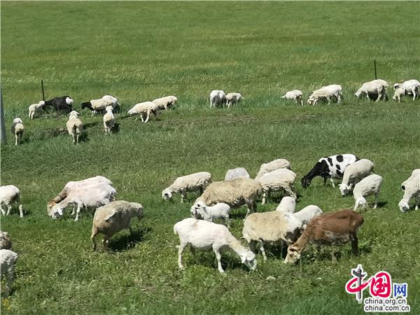 关于久草在线最新地址获取的思考与警示，涉黄问题的警示与探讨